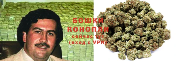 амф Аркадак